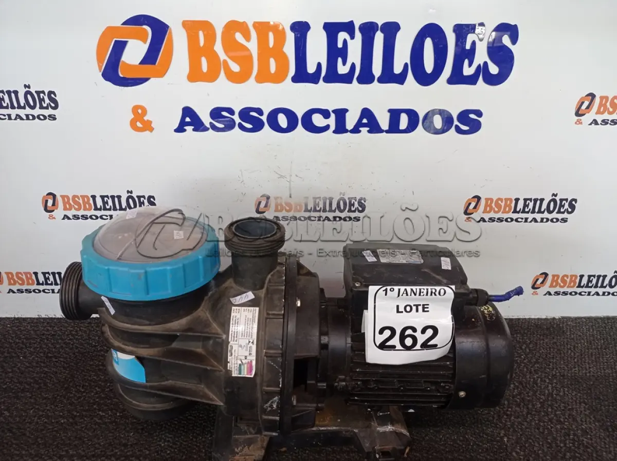 LOTE 262
