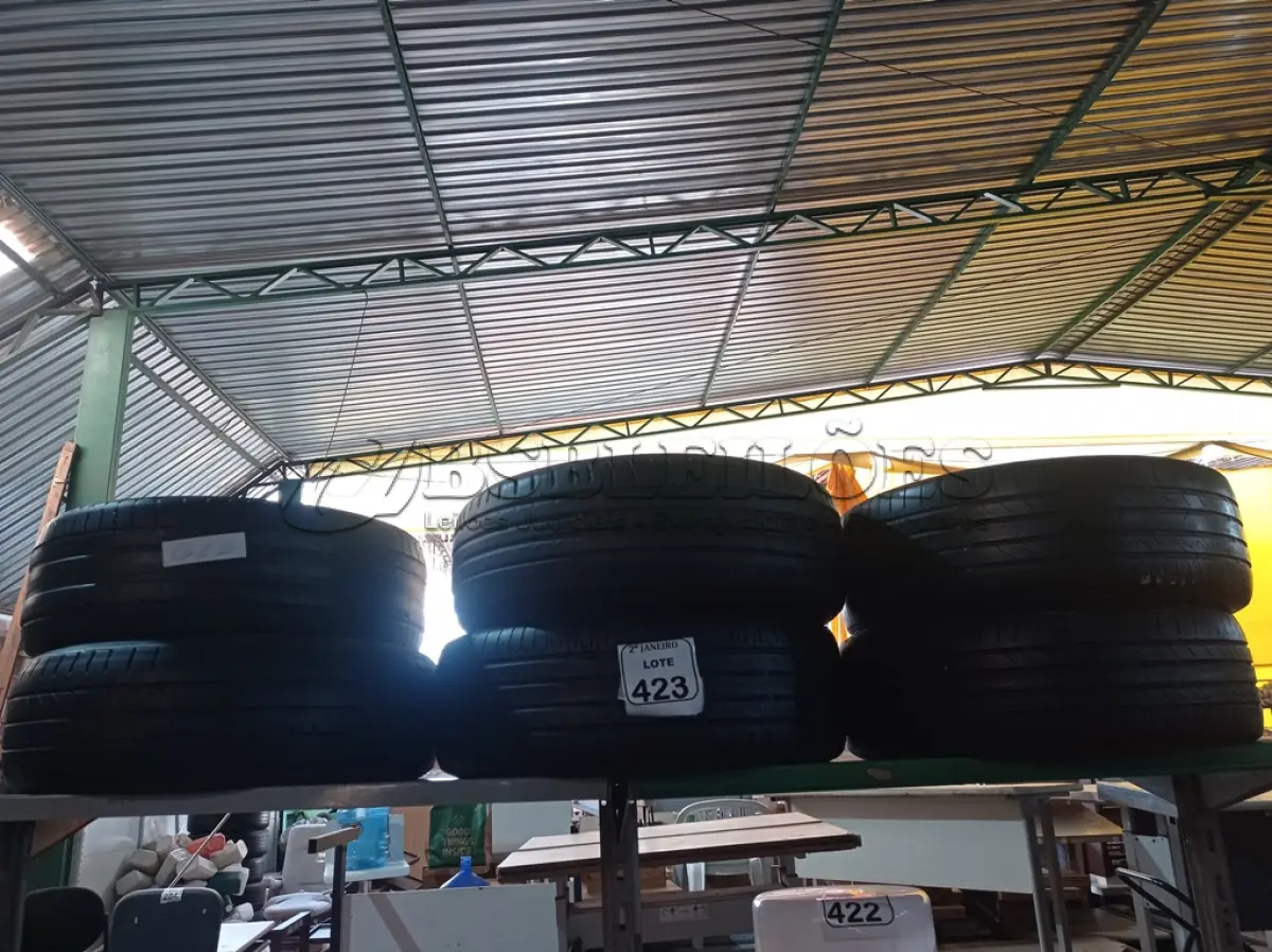 LOTE 423 - 06 PNEUS USADOS C/NUMERAÇÕES DIVERSAS. (NO ESTADO) ATENÇÃO! FAZER A VISITAÇÃO ANTES DE ARREMATAR, NÃO SABEMOS SE FUNCIONA. LEILÃO NÃO TEM GARANTIA E NEM DEVOLUÇÃO, SUJEITO A POSSÍVEIS AVARIAS VISÍVEIS/OCULTAS E/OU AUSÊNCIA DE COMPONENTES.