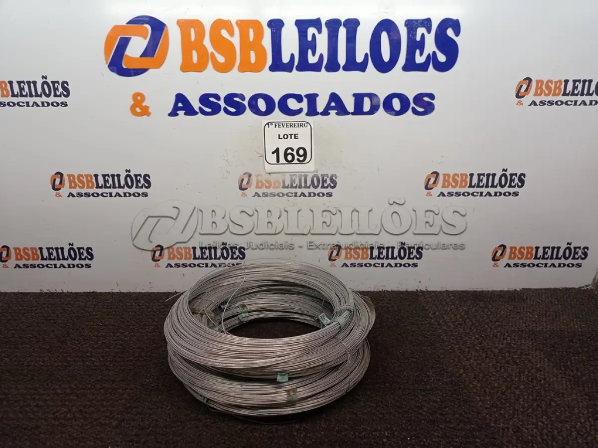 LOTE 169 - 10 KG DE ARAMES GALVANIZADOS 165MM. (NO ESTADO) ATENÇÃO! FAZER A VISITAÇÃO ANTES DE ARREMATAR, NÃO SABEMOS SE FUNCIONA. LEILÃO NÃO TEM GARANTIA E NEM DEVOLUÇÃO, SUJEITO A POSSÍVEIS AVARIAS VISÍVEIS/OCULTAS E/OU AUSÊNCIA DE COMPONENTES.