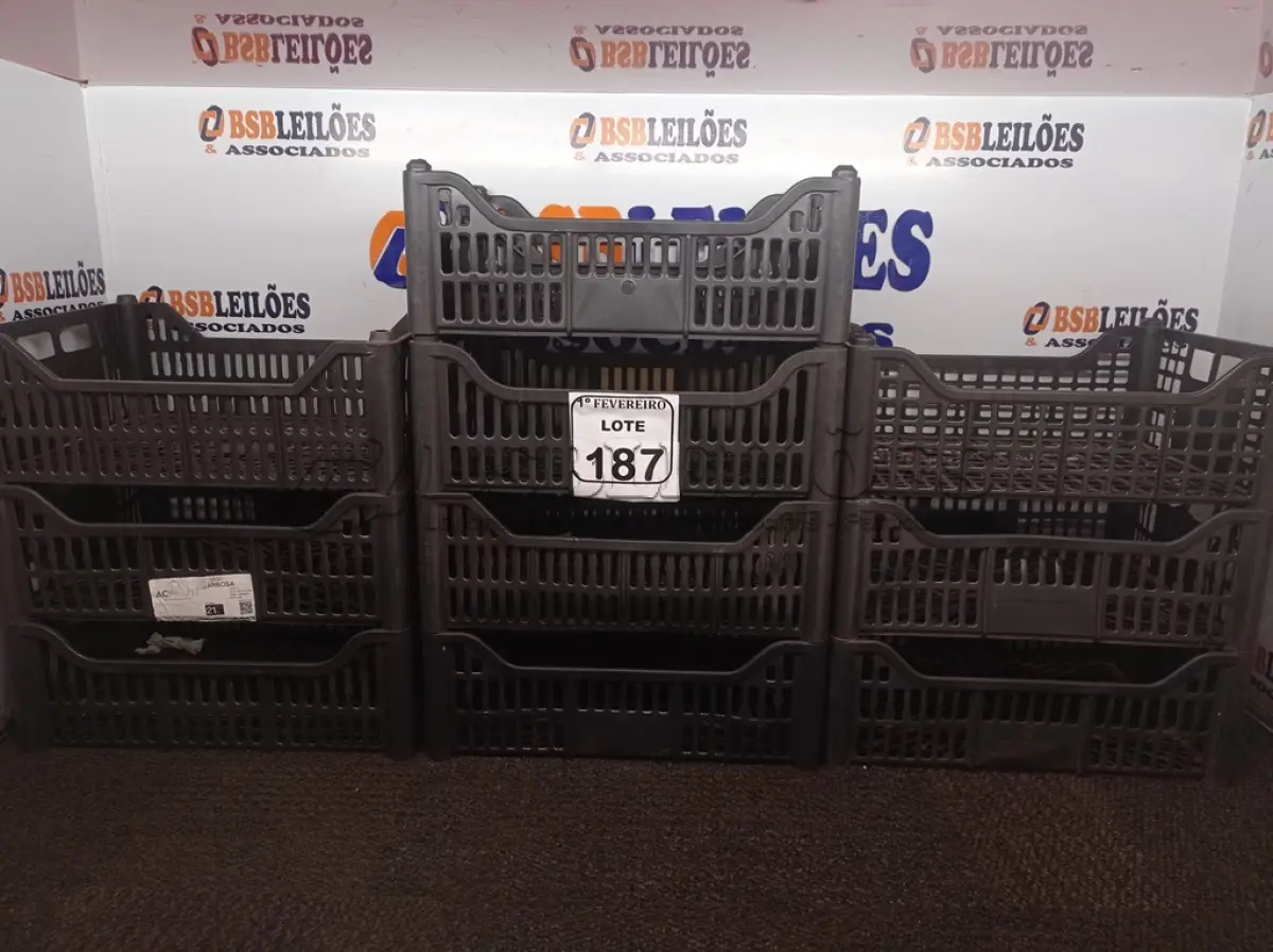 LOTE 187 - 10 CESTAS ORGANIZADORAS PARA MERCADO. (NO ESTADO) ATENÇÃO! FAZER A VISITAÇÃO ANTES DE ARREMATAR, NÃO SABEMOS SE FUNCIONA. LEILÃO NÃO TEM GARANTIA E NEM DEVOLUÇÃO, SUJEITO A POSSÍVEIS AVARIAS VISÍVEIS/OCULTAS E/OU AUSÊNCIA DE COMPONENTES.