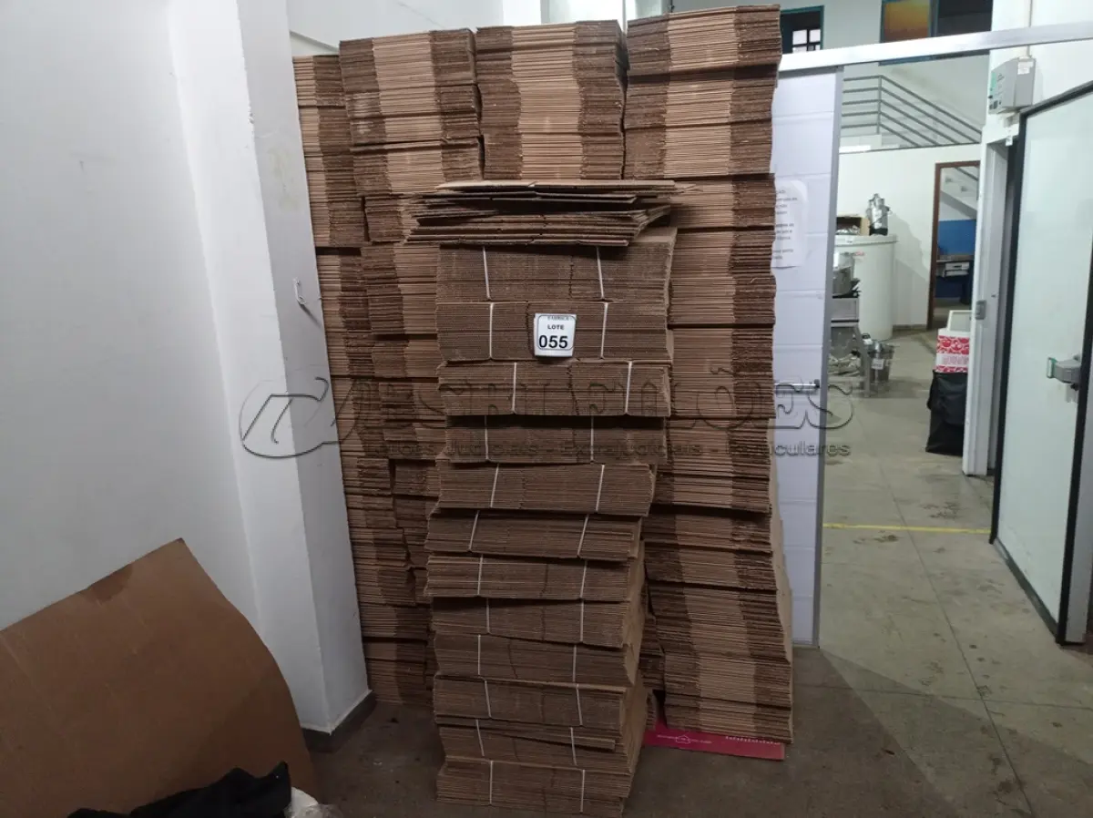 LOTE 055 - 01 LOTE COM VÁRIAS CAIXAS EM PAPELÃO MEDINDO 27X29X9 (NO ESTADO) ATENÇÃO! FAZER A VISITAÇÃO ANTES DE ARREMATAR, NÃO SABEMOS SE FUNCIONA. LEILÃO NÃO TEM GARANTIA E NEM DEVOLUÇÃO, SUJEITO A POSSÍVEIS AVARIAS VISÍVEIS/OCULTAS E/OU AUSÊNCIA DE COMPONENTES.
