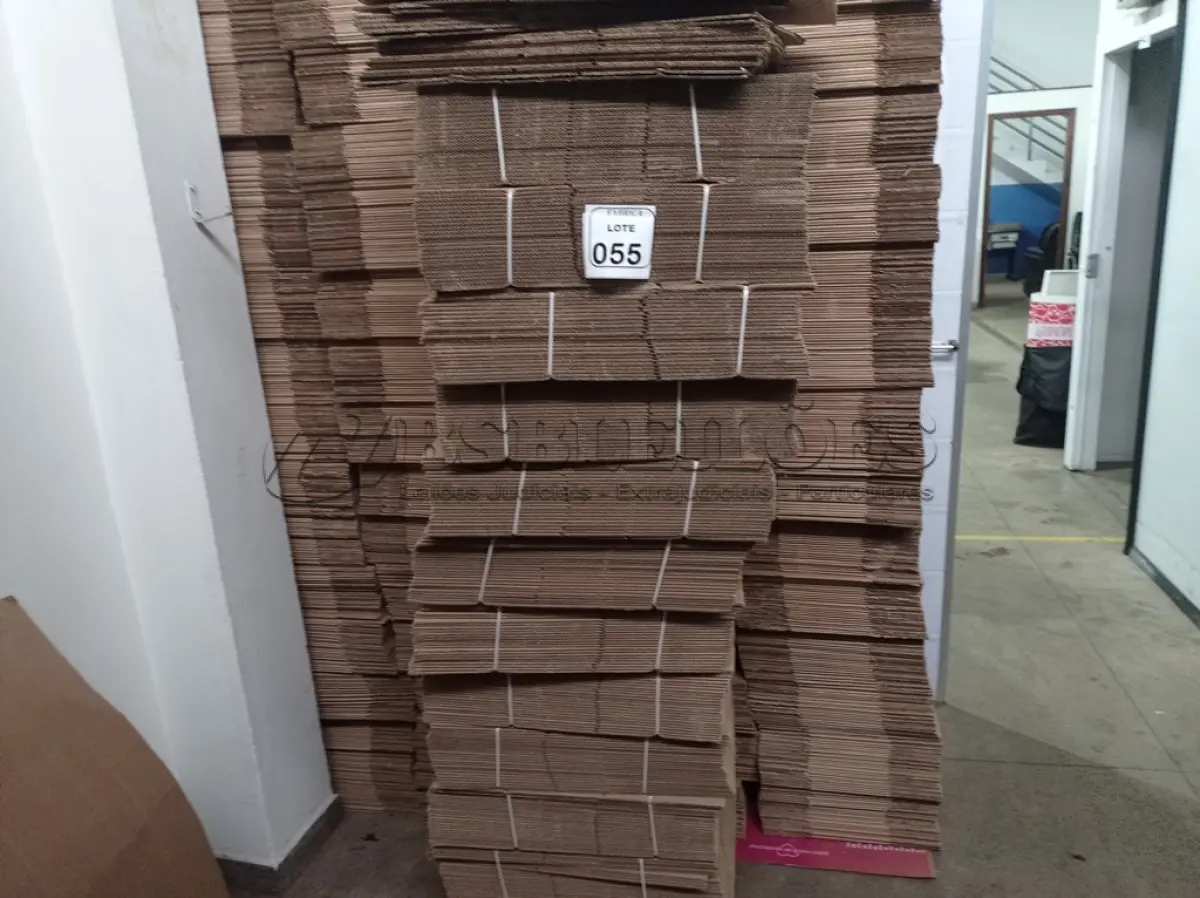 LOTE 055 - 01 LOTE COM VÁRIAS CAIXAS EM PAPELÃO MEDINDO 27X29X9 (NO ESTADO) ATENÇÃO! FAZER A VISITAÇÃO ANTES DE ARREMATAR, NÃO SABEMOS SE FUNCIONA. LEILÃO NÃO TEM GARANTIA E NEM DEVOLUÇÃO, SUJEITO A POSSÍVEIS AVARIAS VISÍVEIS/OCULTAS E/OU AUSÊNCIA DE COMPONENTES.