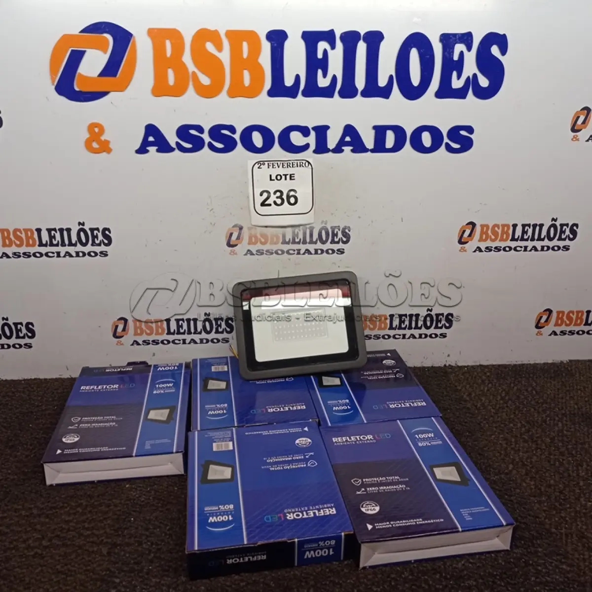 LOTE 236