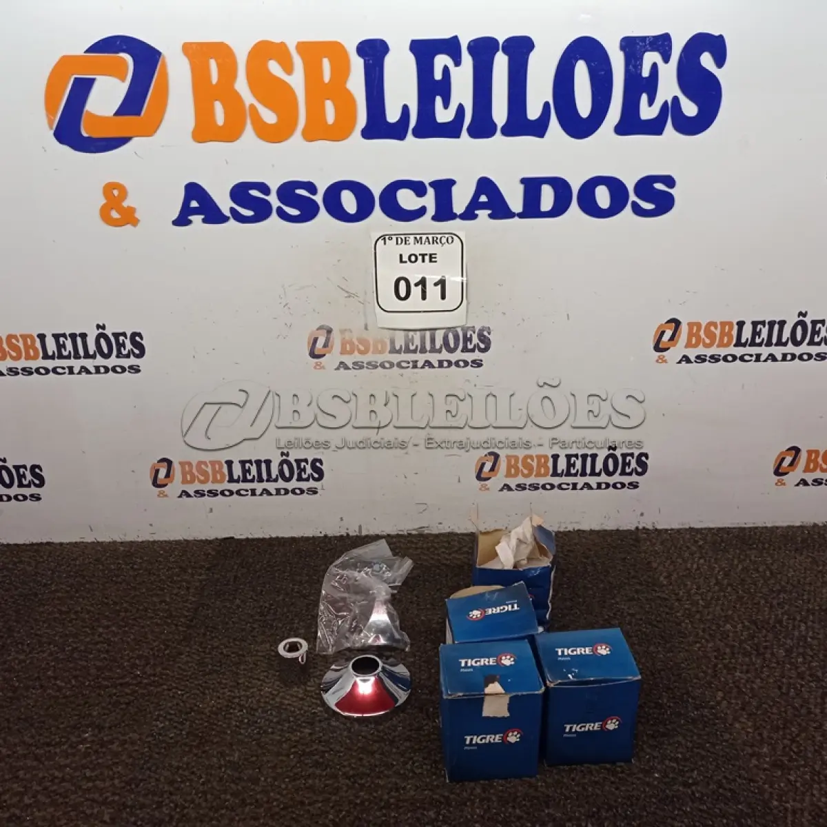LOTE 011