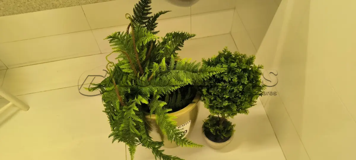 LOTE 059 - 02 PLANTAS DECORATIVAS. (NO ESTADO) ATENÇÃO! FAZER A VISITAÇÃO ANTES DE ARREMATAR, NÃO SABEMOS SE FUNCIONA. LEILÃO NÃO TEM GARANTIA E NEM DEVOLUÇÃO, SUJEITO A POSSÍVEIS AVARIAS VISÍVEIS/OCULTAS E/OU AUSÊNCIA DE COMPONENTES.