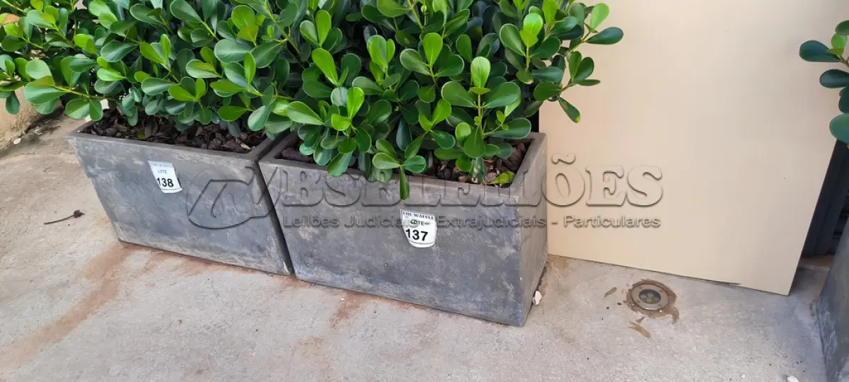 LOTE 137 - 01 JARRO COM PLANTAS VIVAS DECORATIVAS (NO ESTADO) ATENÇÃO! FAZER A VISITAÇÃO ANTES DE ARREMATAR, NÃO SABEMOS SE FUNCIONA. LEILÃO NÃO TEM GARANTIA E NEM DEVOLUÇÃO, SUJEITO A POSSÍVEIS AVARIAS VISÍVEIS/OCULTAS E/OU AUSÊNCIA DE COMPONENTES.