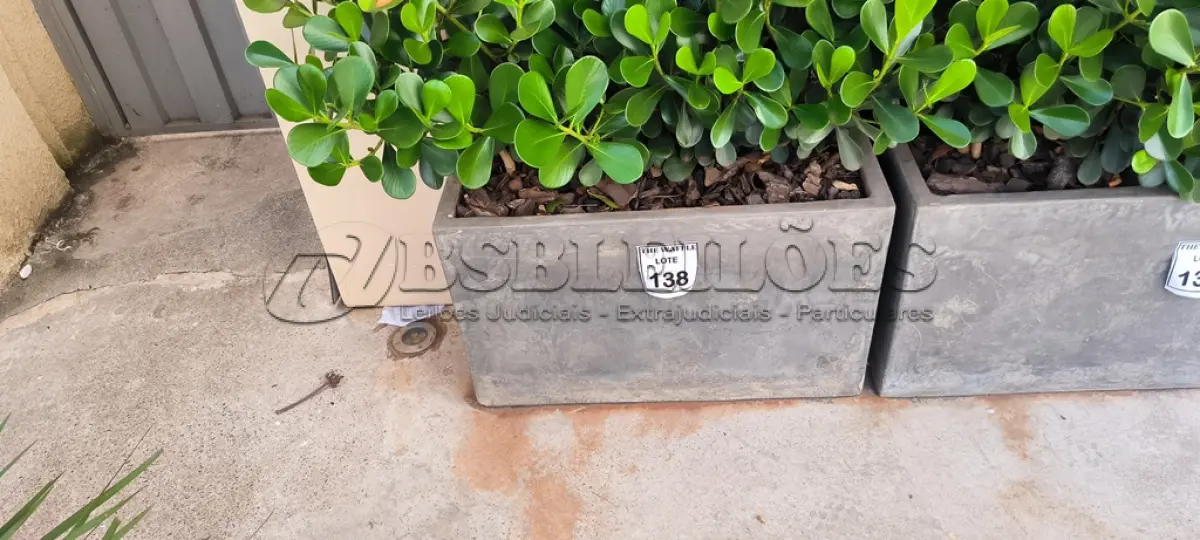 LOTE 138 - 01 JARRO COM PLANTAS VIVAS DECORATIVAS (NO ESTADO) ATENÇÃO! FAZER A VISITAÇÃO ANTES DE ARREMATAR, NÃO SABEMOS SE FUNCIONA. LEILÃO NÃO TEM GARANTIA E NEM DEVOLUÇÃO, SUJEITO A POSSÍVEIS AVARIAS VISÍVEIS/OCULTAS E/OU AUSÊNCIA DE COMPONENTES.