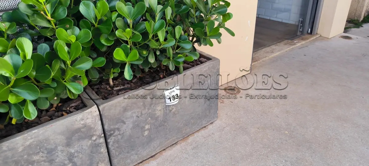 LOTE 133 - 01 JARRO COM PLANTAS VIVAS DECORATIVAS. (NO ESTADO) ATENÇÃO! FAZER A VISITAÇÃO ANTES DE ARREMATAR, NÃO SABEMOS SE FUNCIONA. LEILÃO NÃO TEM GARANTIA E NEM DEVOLUÇÃO, SUJEITO A POSSÍVEIS AVARIAS VISÍVEIS/OCULTAS E/OU AUSÊNCIA DE COMPONENTES.