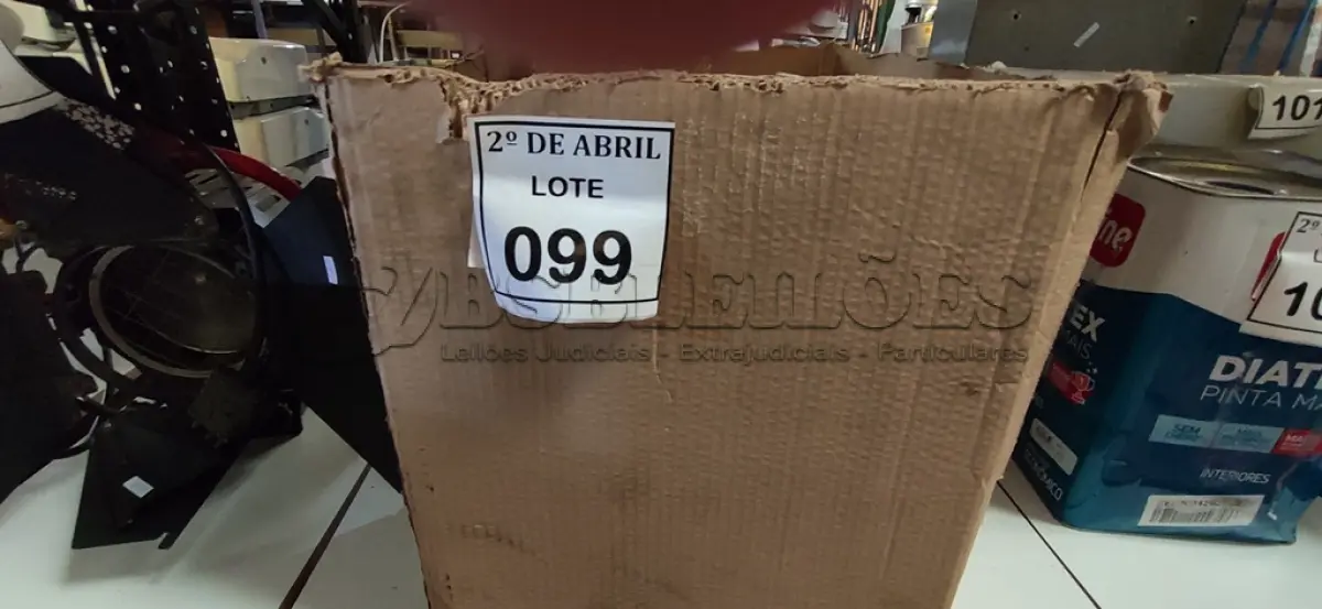 LOTE 099