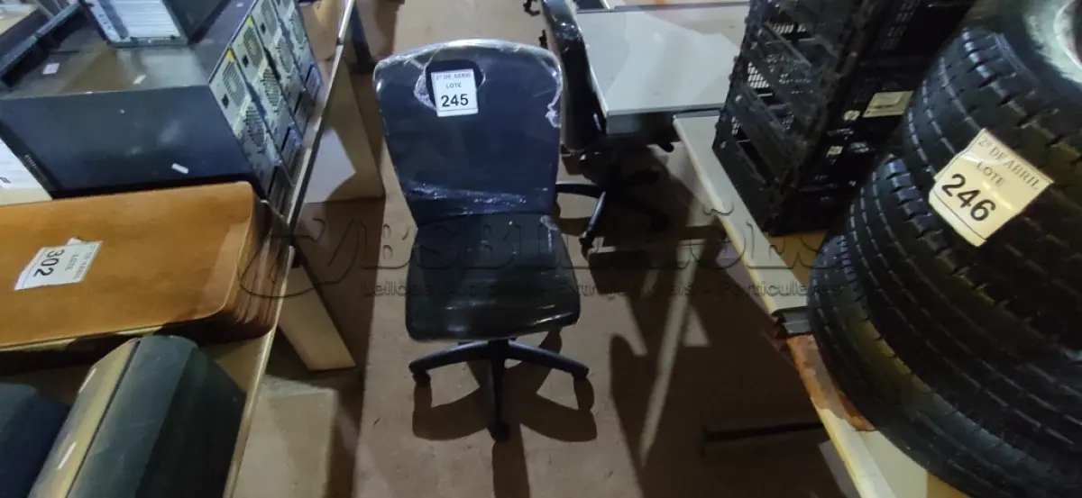 LOTE 245 - 01 CADEIRA PARA ESCRITÓRIO. (NO ESTADO) ATENÇÃO! FAZER A VISITAÇÃO ANTES DE ARREMATAR, NÃO SABEMOS SE FUNCIONA. LEILÃO NÃO TEM GARANTIA E NEM DEVOLUÇÃO, SUJEITO A POSSÍVEIS AVARIAS VISÍVEIS/OCULTAS E/OU AUSÊNCIA DE COMPONENTES.