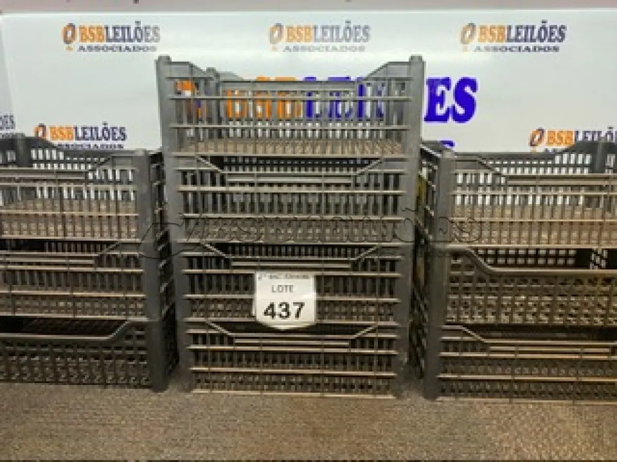 LOTE 437 - 10 CESTAS ORGANIZADORAS. (NO ESTADO) ATENÇÃO! FAZER A VISITAÇÃO ANTES DE ARREMATAR, NÃO SABEMOS SE FUNCIONA. LEILÃO NÃO TEM GARANTIA E NEM DEVOLUÇÃO, SUJEITO A POSSÍVEIS AVARIAS VISÍVEIS/OCULTAS E/OU AUSÊNCIA DE COMPONENTES.