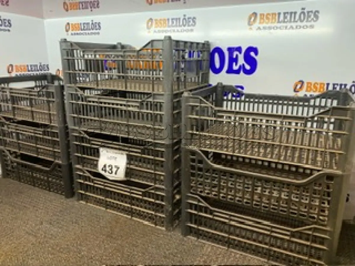 LOTE 437 - 10 CESTAS ORGANIZADORAS. (NO ESTADO) ATENÇÃO! FAZER A VISITAÇÃO ANTES DE ARREMATAR, NÃO SABEMOS SE FUNCIONA. LEILÃO NÃO TEM GARANTIA E NEM DEVOLUÇÃO, SUJEITO A POSSÍVEIS AVARIAS VISÍVEIS/OCULTAS E/OU AUSÊNCIA DE COMPONENTES.