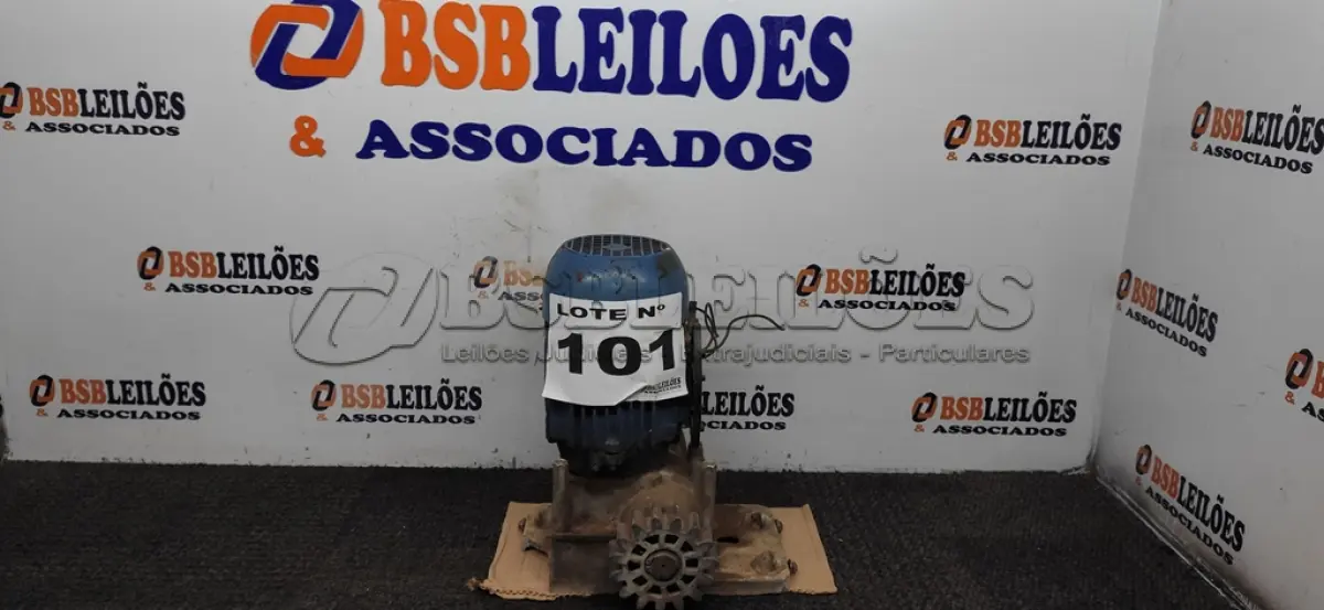 LOTE 101