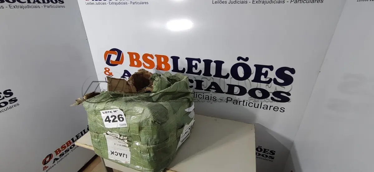 LOTE 426 - 01 LOTE C/ GRANDE QUANTIDADE DE PARAFUSOS DIVERSOS (NO ESTADO, NÃO SABEMOS SE FUNCIONA. LEILÃO NÃO TEM GARANTIA E NEM DEVOLUÇÃO, SUJEITO A POSSÍVEIS AVARIAS VISÍVEIS/OCULTAS E/OU AUSÊNCIA DE COMPONENTES)