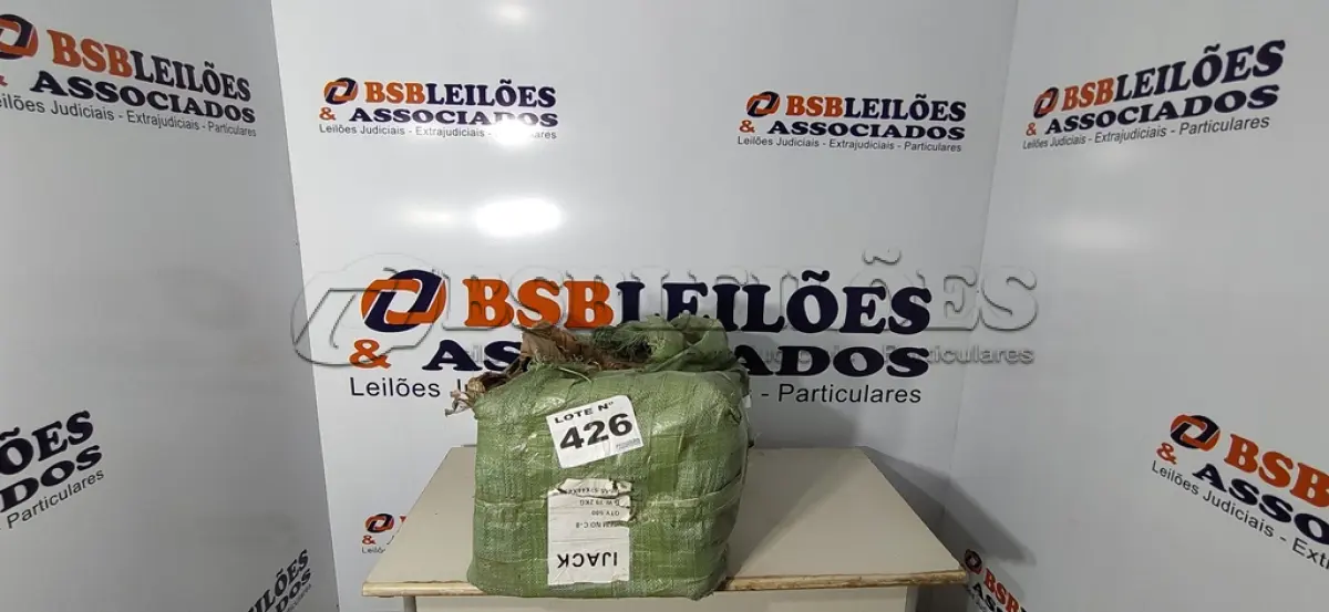 LOTE 426 - 01 LOTE C/ GRANDE QUANTIDADE DE PARAFUSOS DIVERSOS (NO ESTADO, NÃO SABEMOS SE FUNCIONA. LEILÃO NÃO TEM GARANTIA E NEM DEVOLUÇÃO, SUJEITO A POSSÍVEIS AVARIAS VISÍVEIS/OCULTAS E/OU AUSÊNCIA DE COMPONENTES)