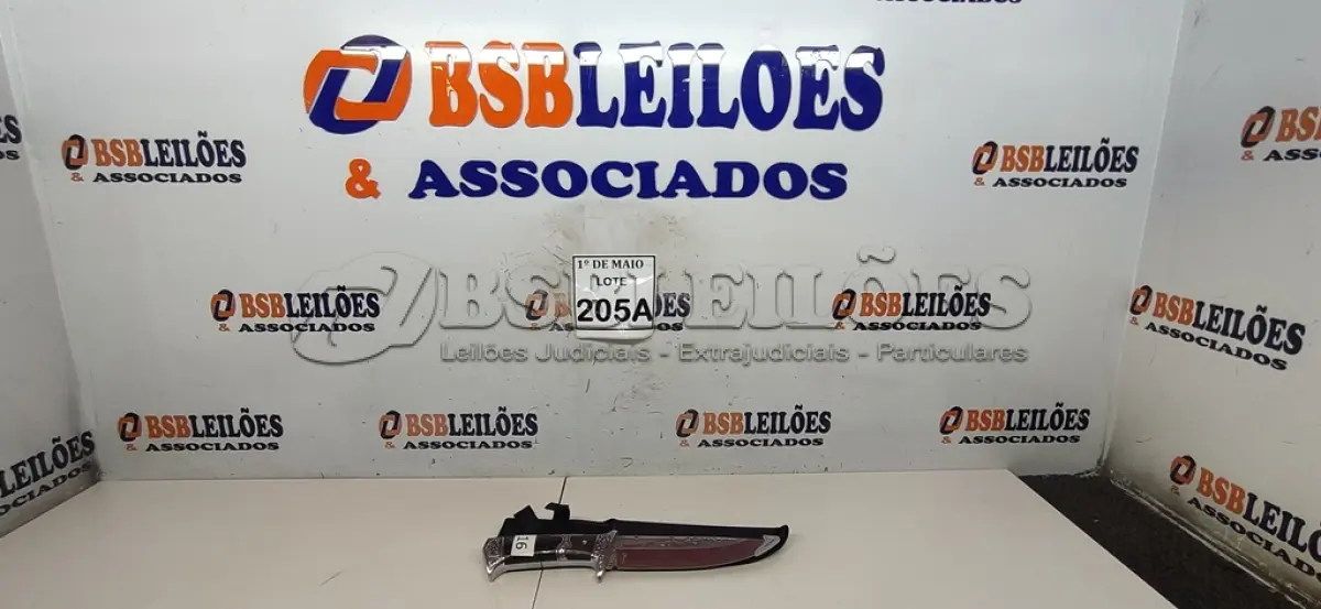 LOTE 205