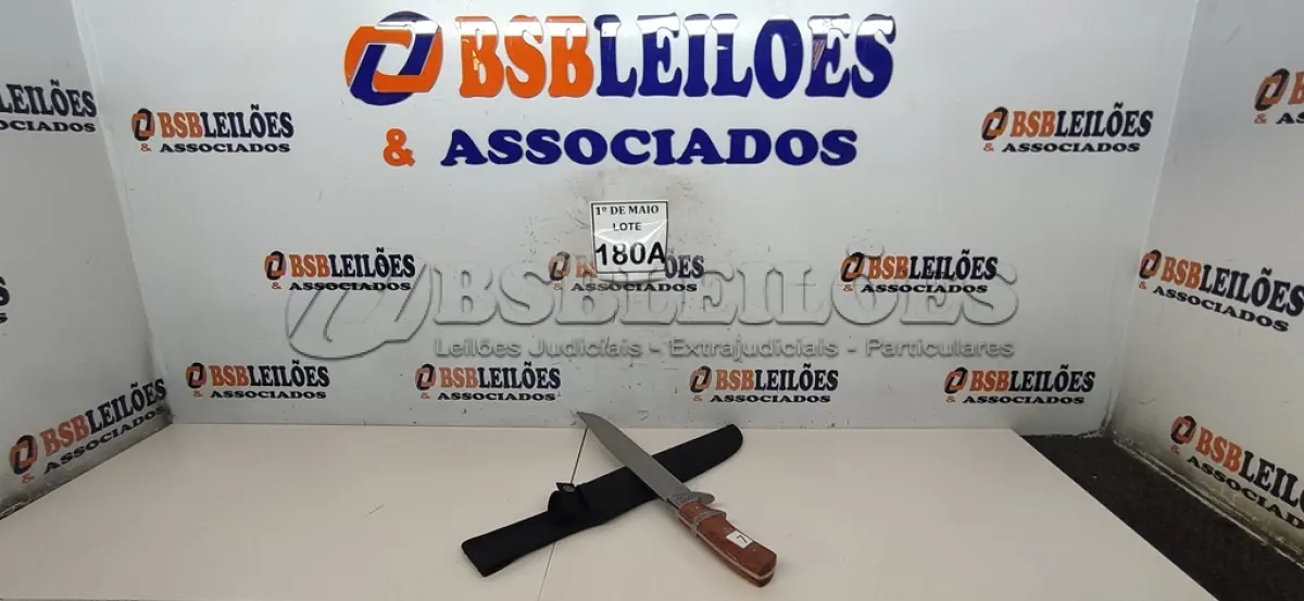 LOTE 180 - 01 FACA IMPORTADA AÇO INOXIDÁVEL CABO EM MADEIRA FULL TANG BAINHA DE NYLON TAMANHO TOTAL 38CM PESO 416G JÁ AFIADA   (NOVO) (NO ESTADO) ATENÇÃO! FAZER A VISITAÇÃO ANTES DE ARREMATAR, NÃO SABEMOS SE FUNCIONA. LEILÃO NÃO TEM GARANTIA E NEM DEVOLUÇÃO, SUJEITO A POSSÍVEIS AVARIAS VISÍVEIS/OCULTAS E/OU AUSÊNCIA DE COMPONENTES.