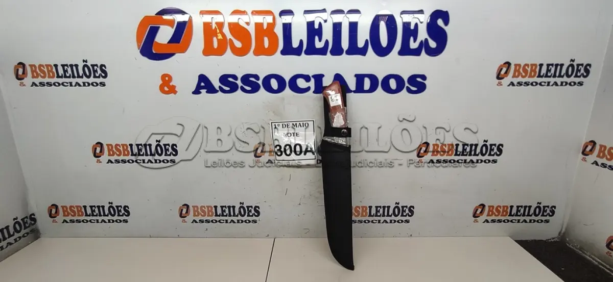 LOTE 300