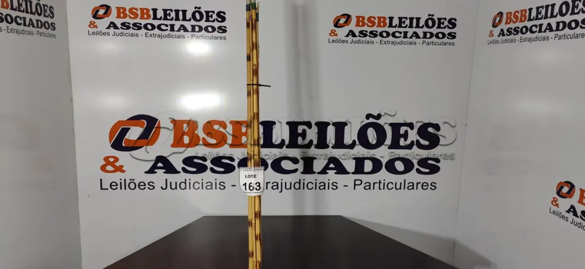 LOTE 163