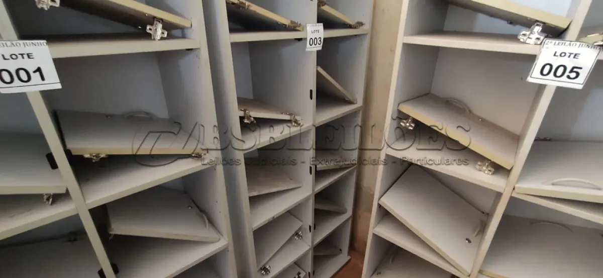 LOTE 003 - 01 ARMÁRIO ALTO PARA ESCRITÓRIO COM 10 PORTAS. (NO ESTADO) ATENÇÃO! FAZER A VISITAÇÃO ANTES DE ARREMATAR, NÃO SABEMOS SE FUNCIONA, LEILÃO NÃO TEM GARANTIA E NEM DEVOLUÇÃO, SUJEITO A POSSÍVEIS AVARIAS VISÍVEIS/OCULTAS E/OU AUSÊNCIA DE COMPONENTES.