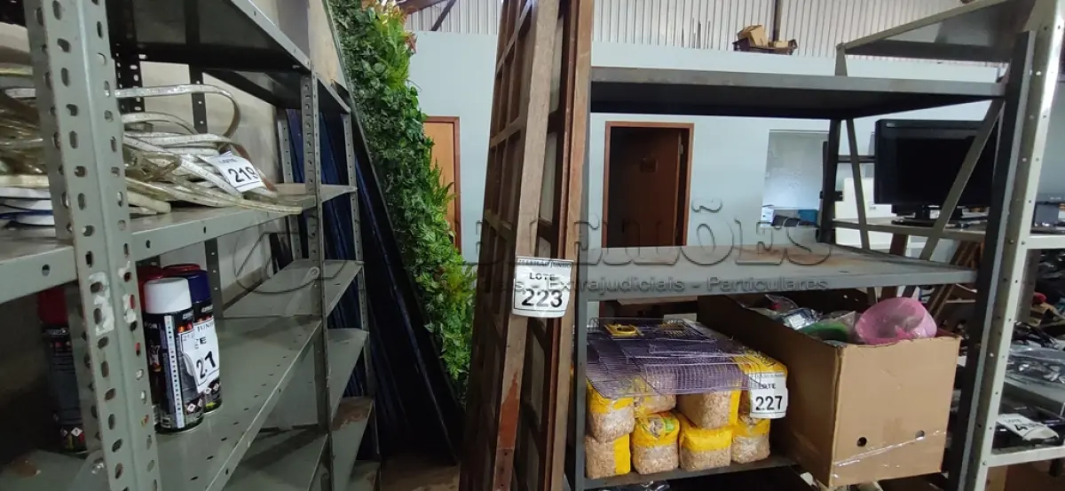 LOTE 223 - 02 PORTAS DE MADEIRAS COM VIDRO. (NO ESTADO) ATENÇÃO! FAZER A VISITAÇÃO ANTES DE ARREMATAR, NÃO SABEMOS SE FUNCIONA, LEILÃO NÃO TEM GARANTIA E NEM DEVOLUÇÃO, SUJEITO A POSSÍVEIS AVARIAS VISÍVEIS/OCULTAS E/OU AUSÊNCIA DE COMPONENTES.