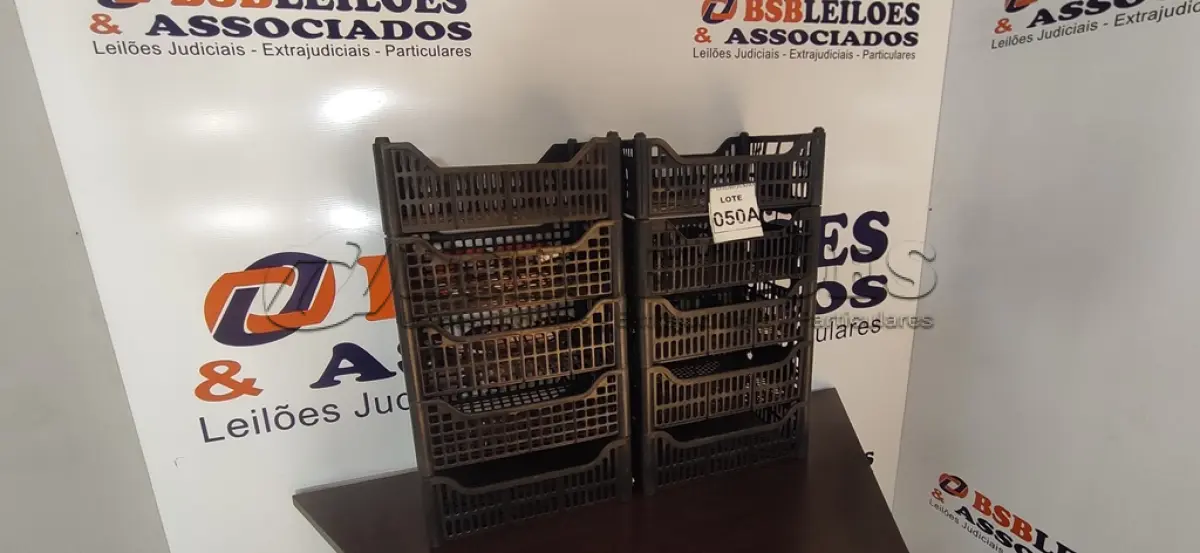 LOTE 050 - 10 CESTAS ORGANIZADORAS. (NO ESTADO) ATENÇÃO! FAZER A VISITAÇÃO ANTES DE ARREMATAR, NÃO SABEMOS SE FUNCIONA, LEILÃO NÃO TEM GARANTIA E NEM DEVOLUÇÃO, SUJEITO A POSSÍVEIS AVARIAS VISÍVEIS/OCULTAS E/OU AUSÊNCIA DE COMPONENTES.