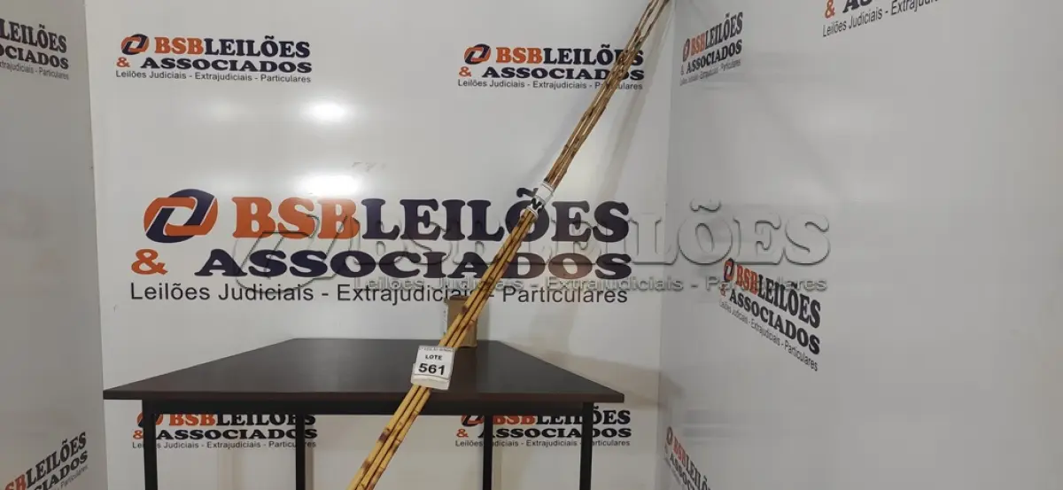 LOTE 561 - 05 VARAS DE BAMBU. (NO ESTADO) ATENÇÃO! FAZER A VISITAÇÃO ANTES DE ARREMATAR, NÃO SABEMOS SE FUNCIONA, LEILÃO NÃO TEM GARANTIA E NEM DEVOLUÇÃO, SUJEITO A POSSÍVEIS AVARIAS VISÍVEIS/OCULTAS E/OU AUSÊNCIA DE COMPONENTES.