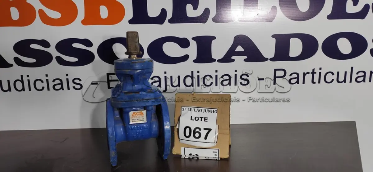 LOTE 067 - 01 VÁLVULA GLOBO. (NO ESTADO) ATENÇÃO! FAZER A VISITAÇÃO ANTES DE ARREMATAR, NÃO SABEMOS SE FUNCIONA, LEILÃO NÃO TEM GARANTIA E NEM DEVOLUÇÃO, SUJEITO A POSSÍVEIS AVARIAS VISÍVEIS/OCULTAS E/OU AUSÊNCIA DE COMPONENTES.