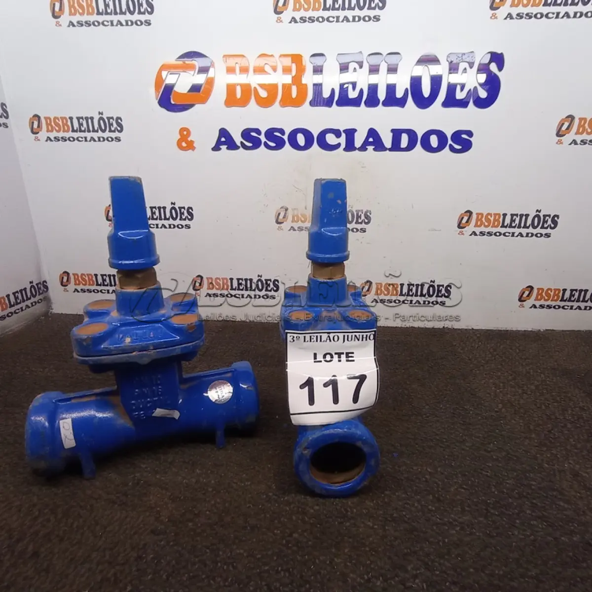 LOTE 117 - 02 VÁLVULAS GLOBO. (NO ESTADO) ATENÇÃO! FAZER A VISITAÇÃO ANTES DE ARREMATAR, NÃO SABEMOS SE FUNCIONA, LEILÃO NÃO TEM GARANTIA E NEM DEVOLUÇÃO, SUJEITO A POSSÍVEIS AVARIAS VISÍVEIS/OCULTAS E/OU AUSÊNCIA DE COMPONENTES.