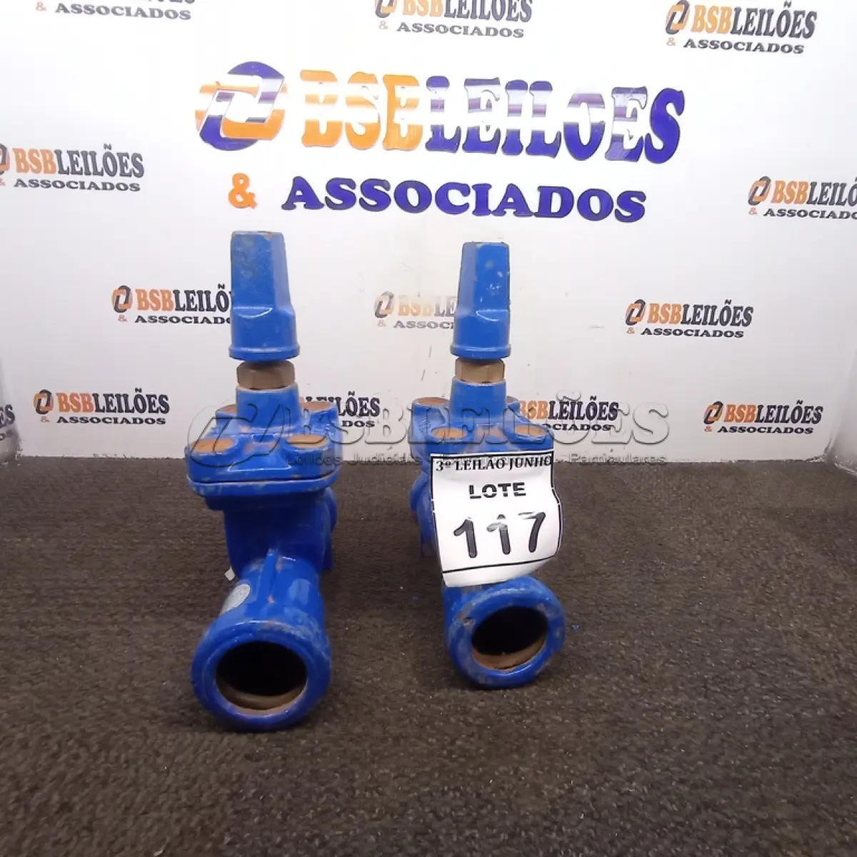 LOTE 117 - 02 VÁLVULAS GLOBO. (NO ESTADO) ATENÇÃO! FAZER A VISITAÇÃO ANTES DE ARREMATAR, NÃO SABEMOS SE FUNCIONA, LEILÃO NÃO TEM GARANTIA E NEM DEVOLUÇÃO, SUJEITO A POSSÍVEIS AVARIAS VISÍVEIS/OCULTAS E/OU AUSÊNCIA DE COMPONENTES.