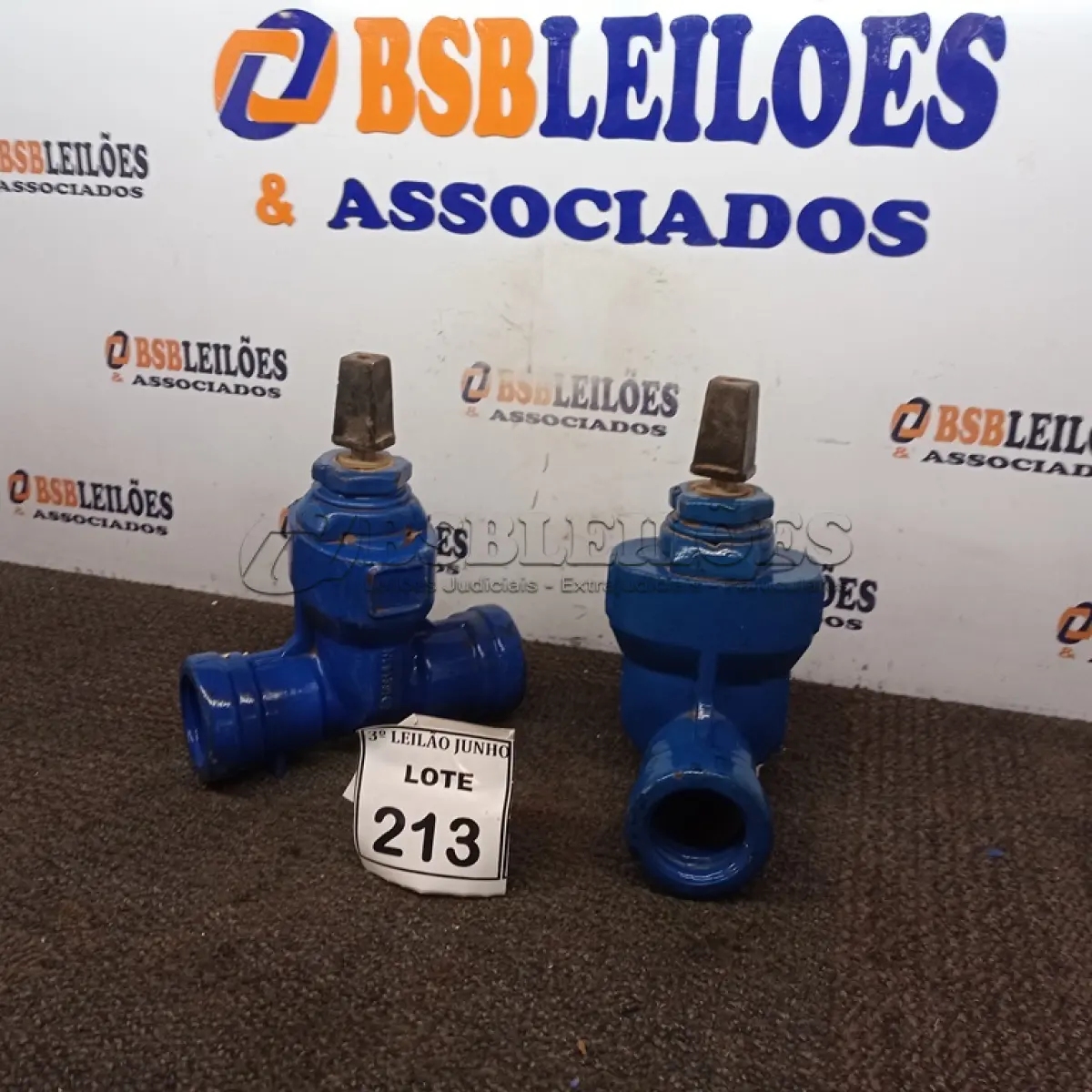 LOTE 213 - 02 VÁLVULAS GLOBO. (NO ESTADO) ATENÇÃO! FAZER A VISITAÇÃO ANTES DE ARREMATAR, NÃO SABEMOS SE FUNCIONA, LEILÃO NÃO TEM GARANTIA E NEM DEVOLUÇÃO, SUJEITO A POSSÍVEIS AVARIAS VISÍVEIS/OCULTAS E/OU AUSÊNCIA DE COMPONENTES.