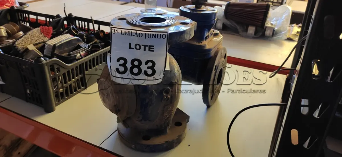 LOTE 383 - 01 HIDRÔMETRO TIPO WOLTMAN 100 WP1 MARCA ZENNER E 01 VALVULA GLOBO.  (NO ESTADO) ATENÇÃO! FAZER A VISITAÇÃO ANTES DE ARREMATAR, NÃO SABEMOS SE FUNCIONA, LEILÃO NÃO TEM GARANTIA E NEM DEVOLUÇÃO, SUJEITO A POSSÍVEIS AVARIAS VISÍVEIS/OCULTAS E/OU AUSÊNCIA DE COMPONENTES.