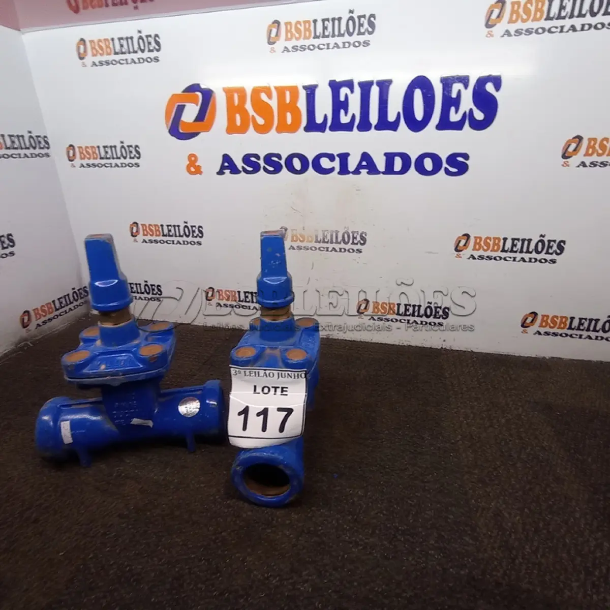 LOTE 117 - 02 VÁLVULAS GLOBO. (NO ESTADO) ATENÇÃO! FAZER A VISITAÇÃO ANTES DE ARREMATAR, NÃO SABEMOS SE FUNCIONA, LEILÃO NÃO TEM GARANTIA E NEM DEVOLUÇÃO, SUJEITO A POSSÍVEIS AVARIAS VISÍVEIS/OCULTAS E/OU AUSÊNCIA DE COMPONENTES.
