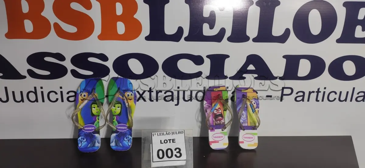LOTE 003 - 02 PARES DE SANDÁLIAS HAVAIANAS MODELO FEMININO NUMERAÇÕES 33 E 37.  (NO ESTADO) ATENÇÃO! FAZER A VISITAÇÃO ANTES DE ARREMATAR, NÃO SABEMOS SE FUNCIONA. LEILÃO NÃO TEM GARANTIA E NEM DEVOLUÇÃO, SUJEITO A POSSÍVEIS AVARIAS VISÍVEIS/OCULTAS E/OU AUSÊNCIA DE COMPONENTES.