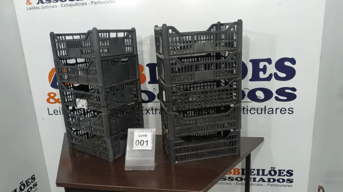 LOTE 001 - 10 CESTAS ORGANIZADORAS. (NO ESTADO) ATENÇÃO! FAZER A VISITAÇÃO ANTES DE ARREMATAR, NÃO SABEMOS SE FUNCIONA, LEILÃO NÃO TEM GARANTIA E NEM DEVOLUÇÃO, SUJEITO A POSSÍVEIS AVARIAS VISÍVEIS/OCULTAS E/OU AUSÊNCIA DE COMPONENTES.