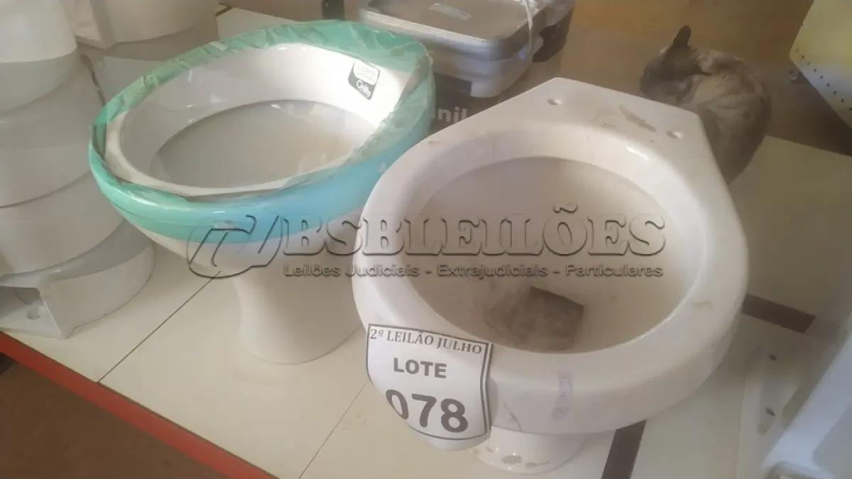 LOTE 078 - 02 VASOS SANITÁRIOS. (NO ESTADO) ATENÇÃO! FAZER A VISITAÇÃO ANTES DE ARREMATAR, NÃO SABEMOS SE FUNCIONA. LEILÃO NÃO TEM GARANTIA E NEM DEVOLUÇÃO, SUJEITO A POSSÍVEIS AVARIAS VISÍVEIS/OCULTAS E/OU AUSÊNCIA DE COMPONENTES.