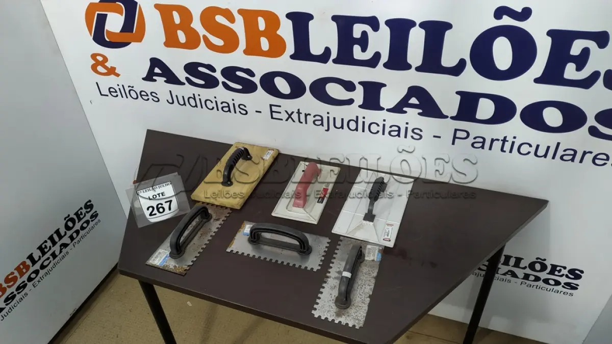 LOTE 267