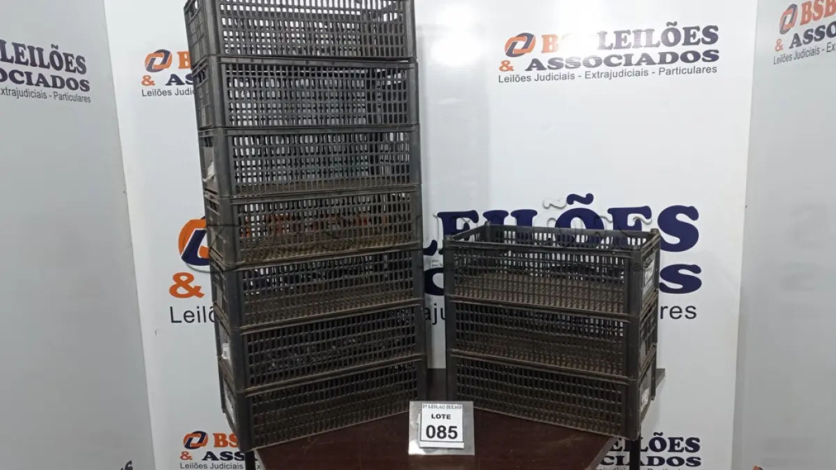 LOTE 085 - 10 CESTAS ORGANIZADORAS. (NO ESTADO) ATENÇÃO! FAZER A VISITAÇÃO ANTES DE ARREMATAR, NÃO SABEMOS SE FUNCIONA, LEILÃO NÃO TEM GARANTIA E NEM DEVOLUÇÃO, SUJEITO A POSSÍVEIS AVARIAS VISÍVEIS/OCULTAS E/OU AUSÊNCIA DE COMPONENTES.
