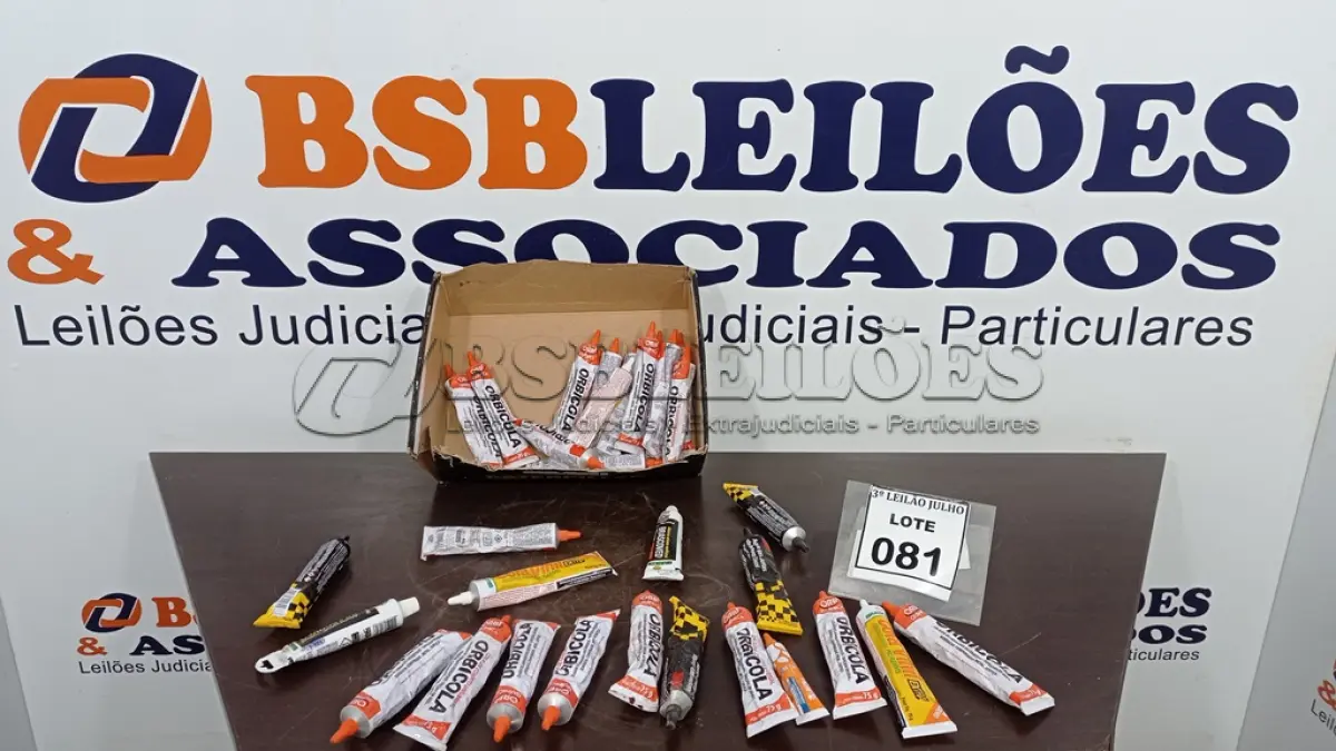LOTE 081
