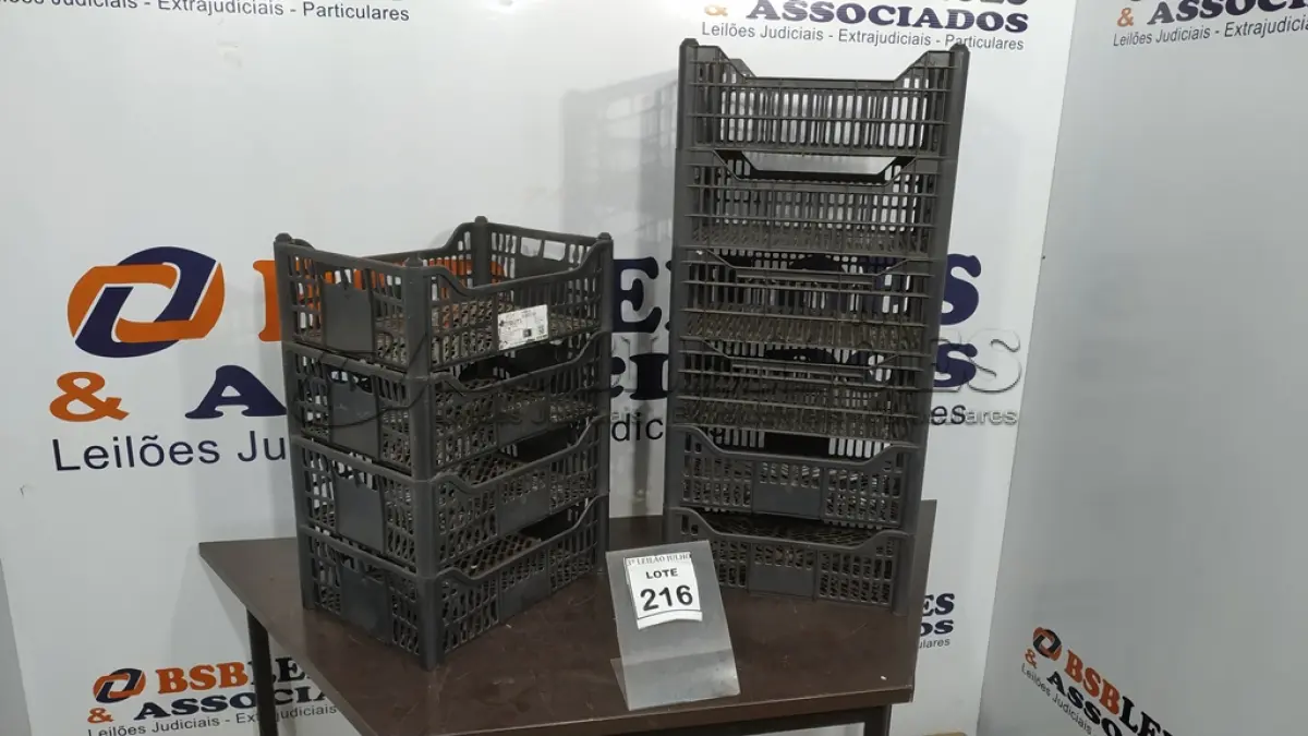 LOTE 216 - 10 CESTAS ORGANIZADORAS. (NO ESTADO) ATENÇÃO! FAZER A VISITAÇÃO ANTES DE ARREMATAR, NÃO SABEMOS SE FUNCIONA, LEILÃO NÃO TEM GARANTIA E NEM DEVOLUÇÃO, SUJEITO A POSSÍVEIS AVARIAS VISÍVEIS/OCULTAS E/OU AUSÊNCIA DE COMPONENTES.