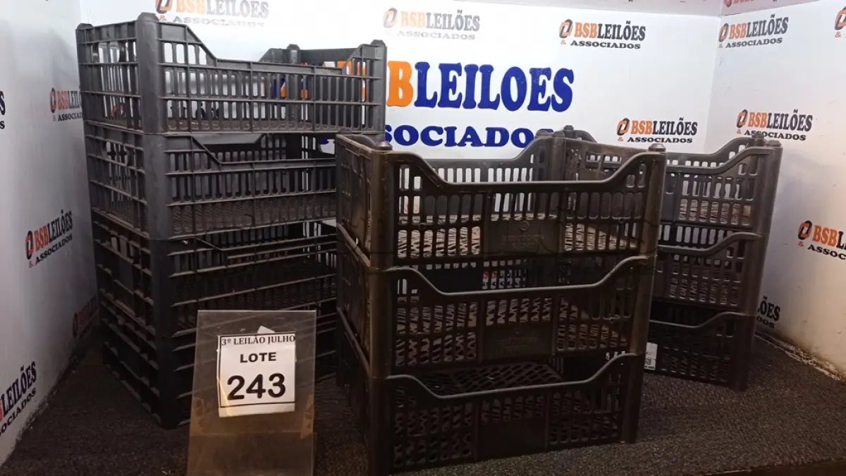 LOTE 243 - 10 CESTAS ORGANIZADORAS. (NO ESTADO) ATENÇÃO! FAZER A VISITAÇÃO ANTES DE ARREMATAR, NÃO SABEMOS SE FUNCIONA, LEILÃO NÃO TEM GARANTIA E NEM DEVOLUÇÃO, SUJEITO A POSSÍVEIS AVARIAS VISÍVEIS/OCULTAS E/OU AUSÊNCIA DE COMPONENTES.
