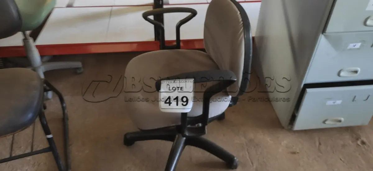 LOTE 419