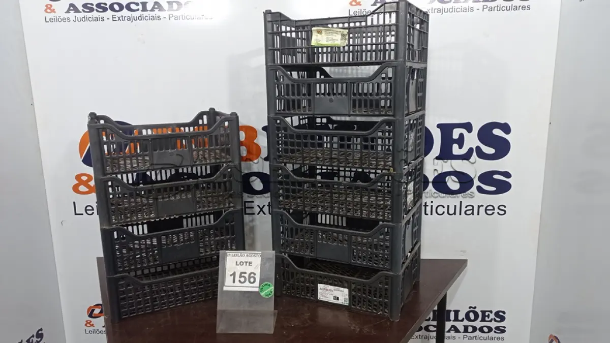 LOTE 156 - 10 CESTAS ORGANIZADORAS. (NO ESTADO) ATENÇÃO! FAZER A VISITAÇÃO ANTES DE ARREMATAR, NÃO SABEMOS SE FUNCIONA. LEILÃO NÃO TEM GARANTIA E NEM DEVOLUÇÃO, SUJEITO A POSSÍVEIS AVARIAS VISÍVEIS/OCULTAS E/OU AUSÊNCIA DE COMPONENTES.