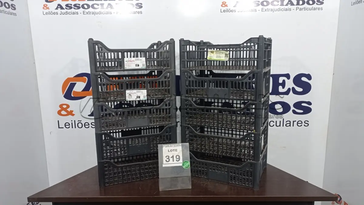 LOTE 319 - 10 CESTAS ORGANIZADORAS. (NO ESTADO) ATENÇÃO! FAZER A VISITAÇÃO ANTES DE ARREMATAR, NÃO SABEMOS SE FUNCIONA. LEILÃO NÃO TEM GARANTIA E NEM DEVOLUÇÃO, SUJEITO A POSSÍVEIS AVARIAS VISÍVEIS/OCULTAS E/OU AUSÊNCIA DE COMPONENTES.