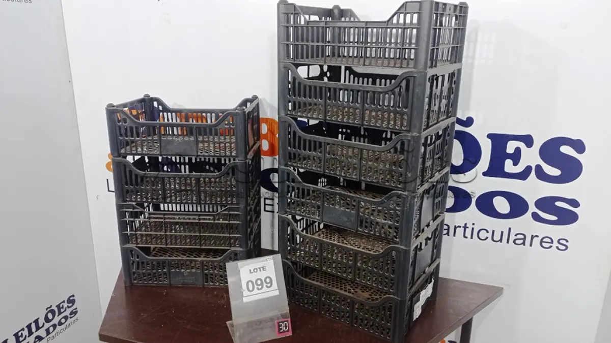 LOTE 099 - 10 CESTAS ORGANIZADORAS. (NO ESTADO) ATENÇÃO! FAZER A VISITAÇÃO ANTES DE ARREMATAR, NÃO SABEMOS SE FUNCIONA, LEILÃO NÃO TEM GARANTIA E NEM DEVOLUÇÃO, SUJEITO A POSSÍVEIS AVARIAS VISÍVEIS/OCULTAS E/OU AUSÊNCIA DE COMPONENTES.