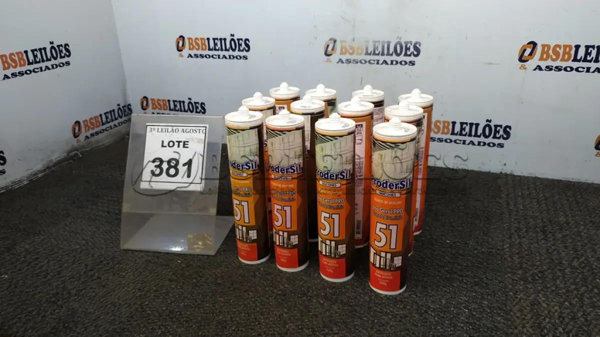 LOTE 381