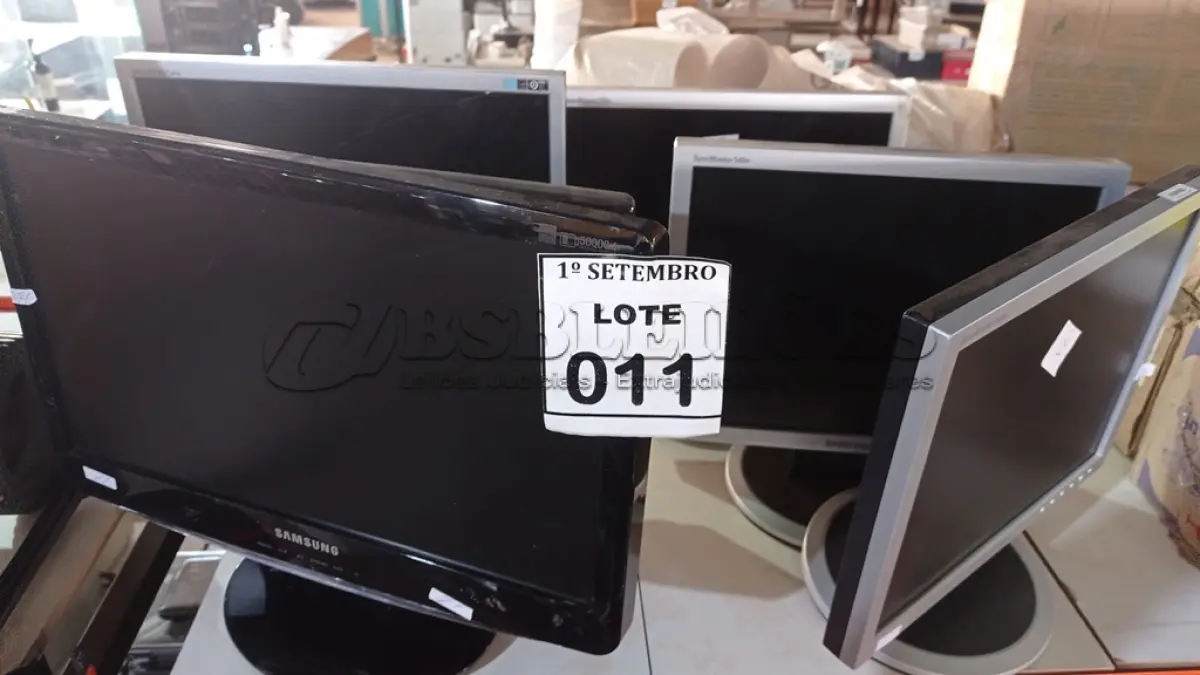 LOTE 011