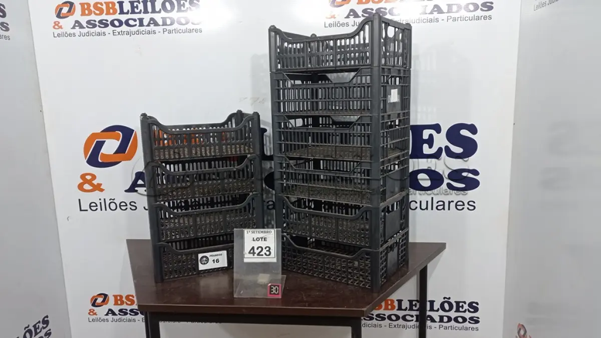 LOTE 423 - 10 CESTAS ORGANIZADORA. (NO ESTADO) ATENÇÃO! FAZER A VISITAÇÃO ANTES DE ARREMATAR, NÃO SABEMOS SE FUNCIONA, LEILÃO NÃO TEM GARANTIA E NEM DEVOLUÇÃO, SUJEITO A POSSÍVEIS AVARIAS VISÍVEIS/OCULTAS E/OU AUSÊNCIA DE COMPONENTES.