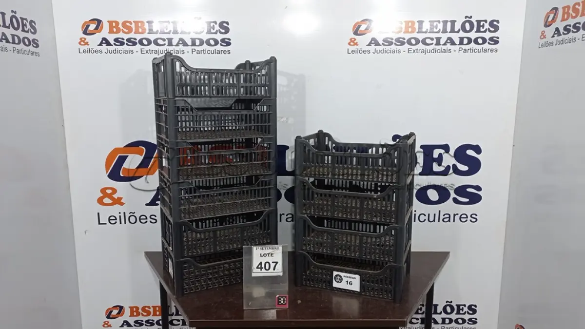LOTE 407 - 10 CESTAS ORGANIZADORAS. (NO ESTADO) ATENÇÃO! FAZER A VISITAÇÃO ANTES DE ARREMATAR, NÃO SABEMOS SE FUNCIONA, LEILÃO NÃO TEM GARANTIA E NEM DEVOLUÇÃO, SUJEITO A POSSÍVEIS AVARIAS VISÍVEIS/OCULTAS E/OU AUSÊNCIA DE COMPONENTES.
