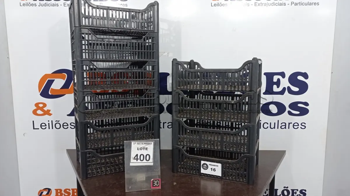 LOTE 400 - 10 CESTAS ORGANIZADORAS. (NO ESTADO) ATENÇÃO! FAZER A VISITAÇÃO ANTES DE ARREMATAR, NÃO SABEMOS SE FUNCIONA, LEILÃO NÃO TEM GARANTIA E NEM DEVOLUÇÃO, SUJEITO A POSSÍVEIS AVARIAS VISÍVEIS/OCULTAS E/OU AUSÊNCIA DE COMPONENTES.